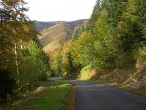 Paysage d'automne